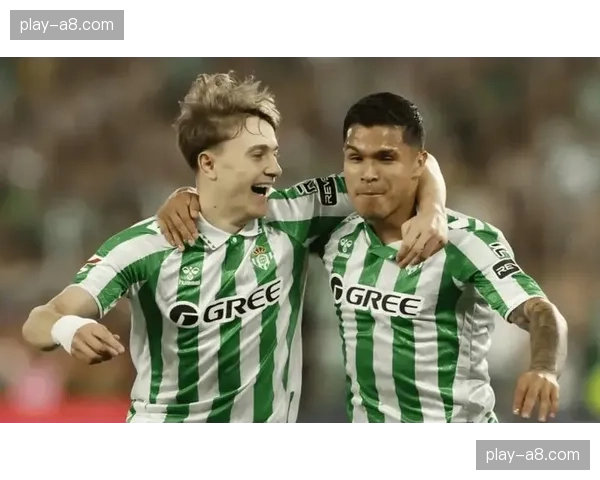 保级关键战：加的斯2-1逆转埃尔切，逃离降级区。