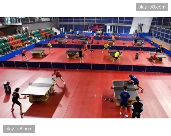 德国乒协首席执行官称乒乓球是连接德中两国重要桥梁